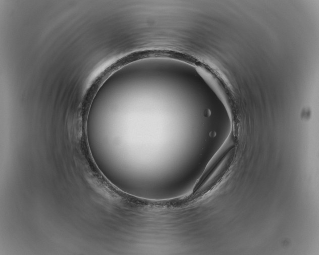 X0000091061069200708061237
