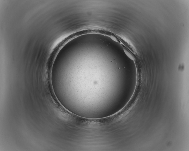X0000091061070200708061237