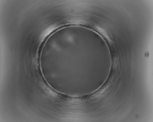X0000091061071200708061237