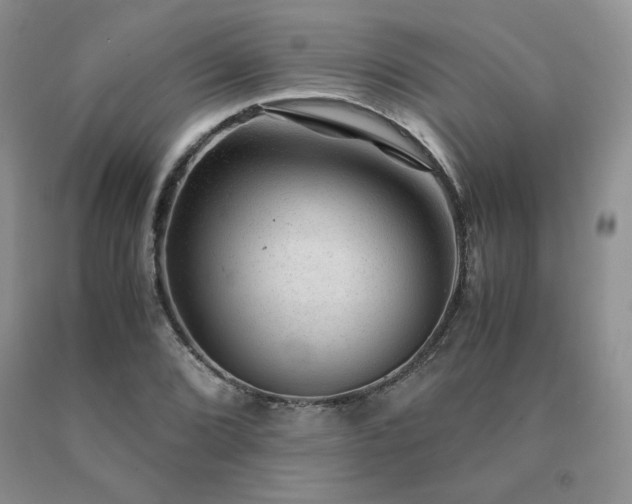 X0000091061072200708061237