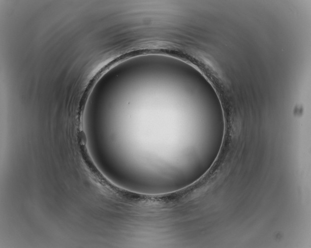 X0000091061073200708061237
