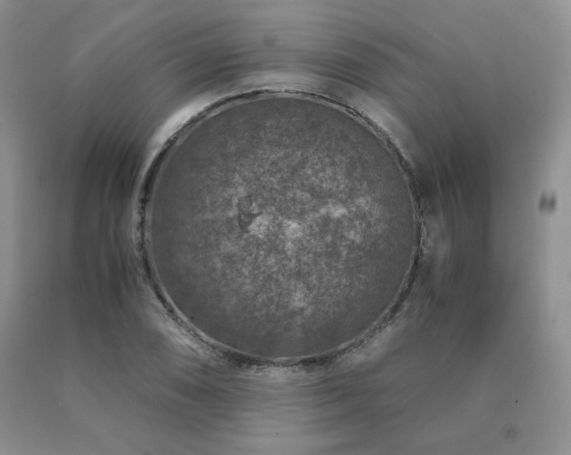 X0000091061074200708061237