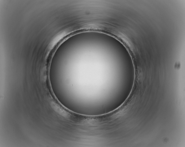 X0000091061075200708061237