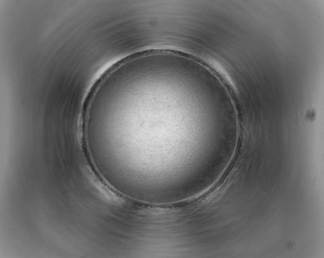 X0000091061076200708061237
