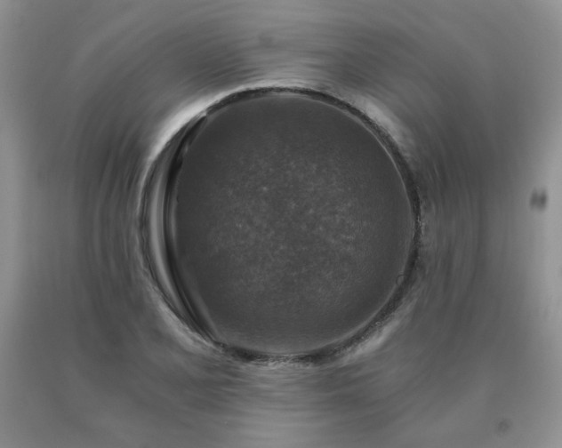 X0000091061077200708061237