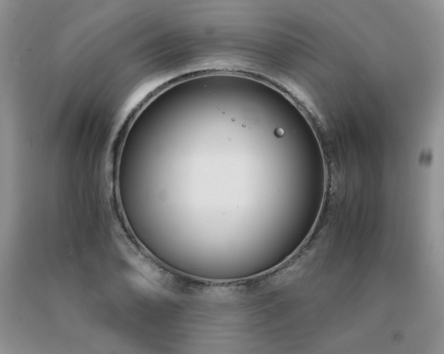 X0000091061078200708061237