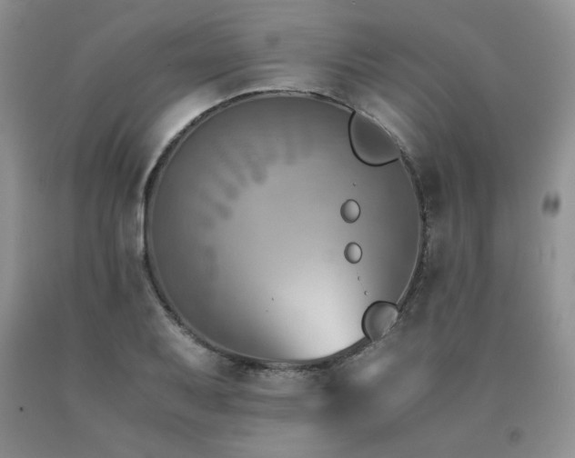 X0000091061079200708061237