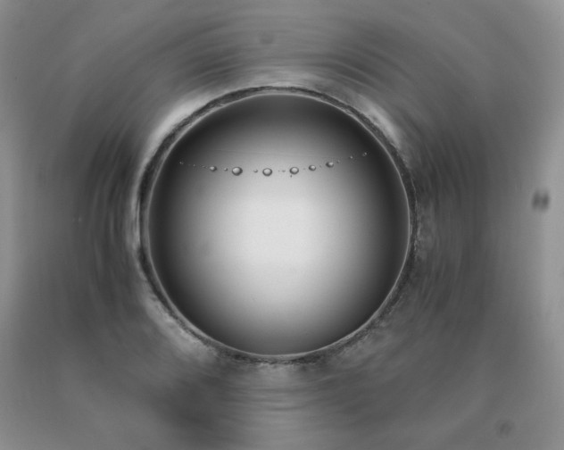 X0000091061080200708061237