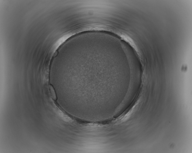 X0000091061081200708061237
