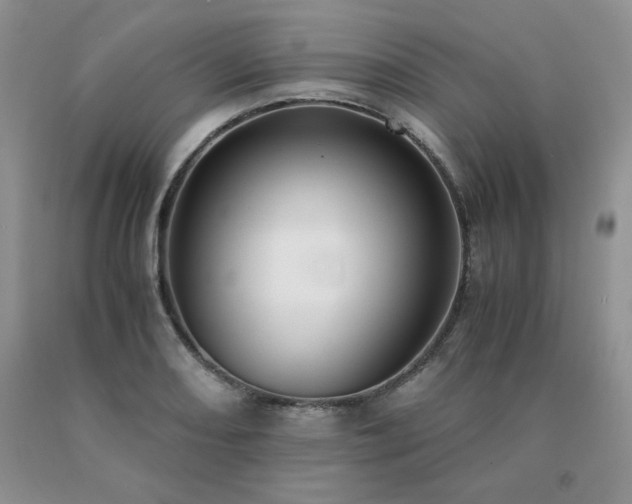 X0000091061082200708061237