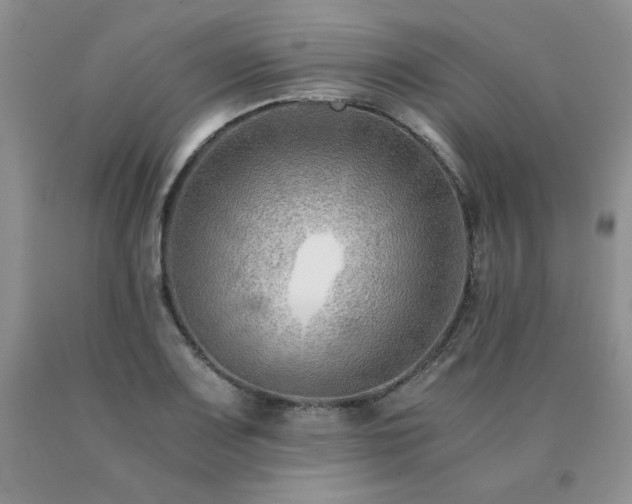 X0000091061083200708061237