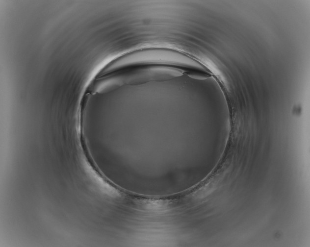 X0000091061084200708061237