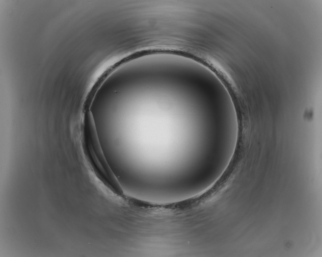 X0000091061085200708061237