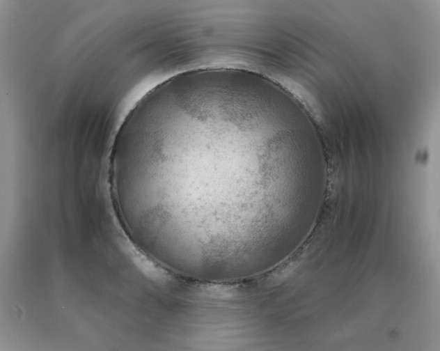X0000091061086200708061237