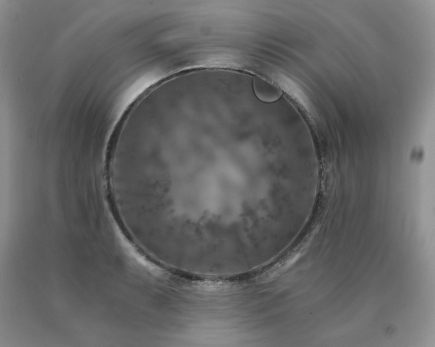 X0000091061087200708061237