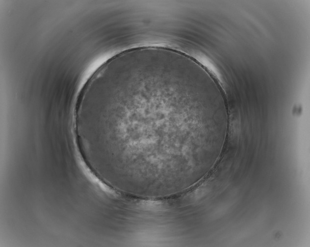 X0000091061088200708061237