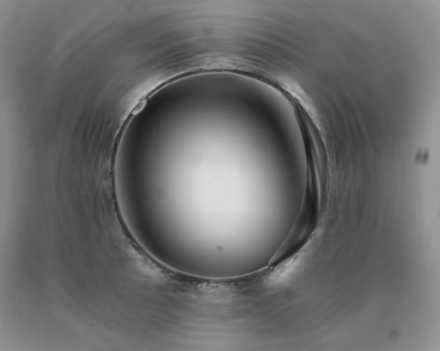 X0000091061089200708061237