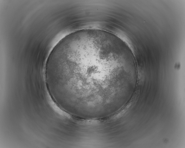 X0000091061090200708061237