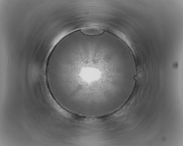 X0000091061091200708061237