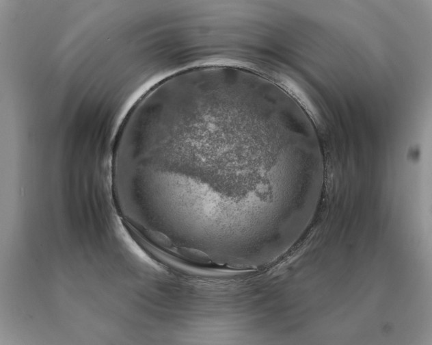 X0000091061092200708061237