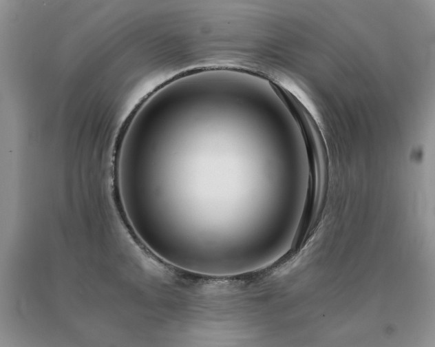 X0000091061093200708061237