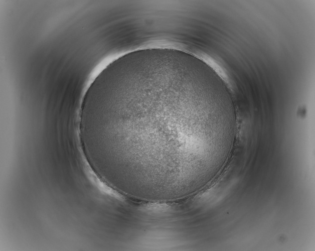 X0000091061094200708061237