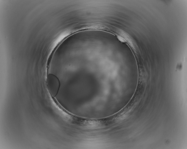 X0000091061095200708061237