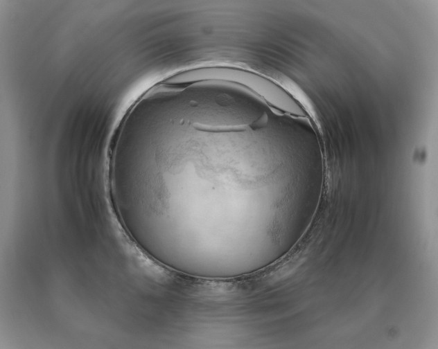 X0000091061096200708061237