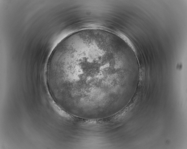 X0000091061098200708061237
