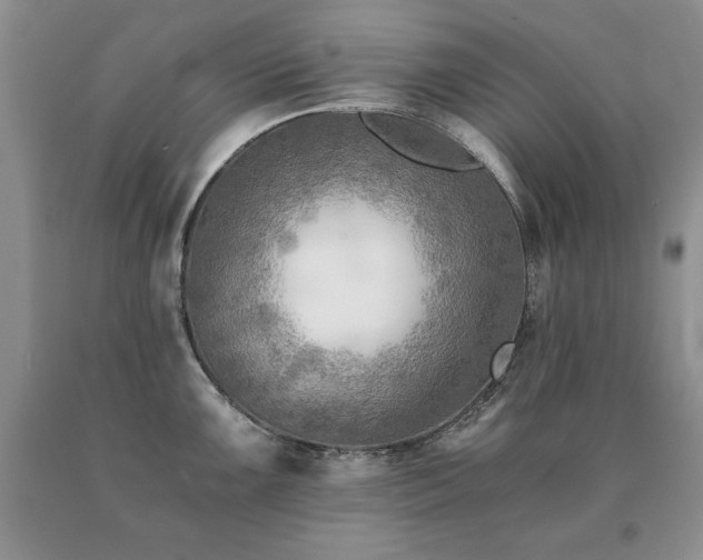 X0000091061099200708061237