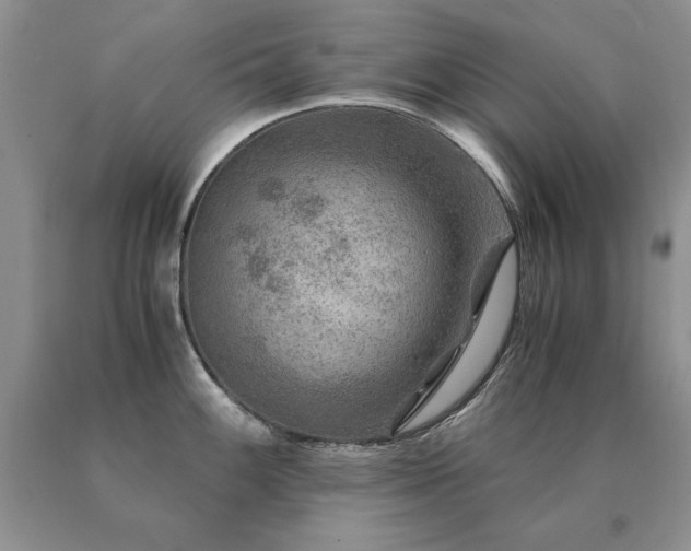 X0000091061100200708061237