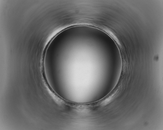 X0000091061101200708061237