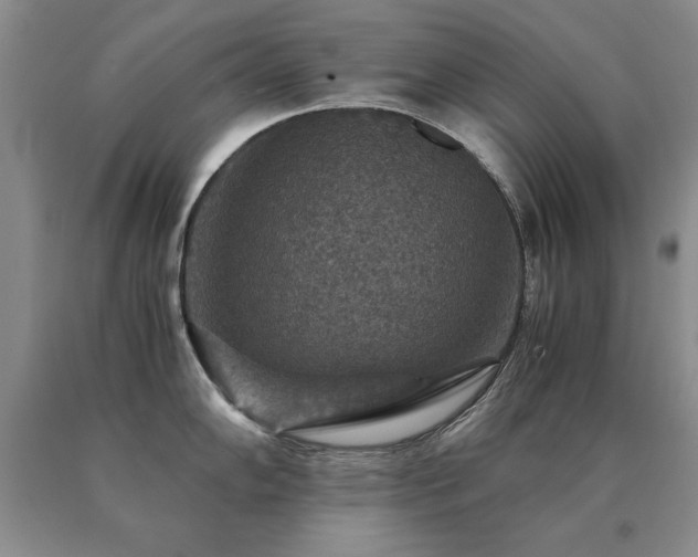 X0000091061102200708061237