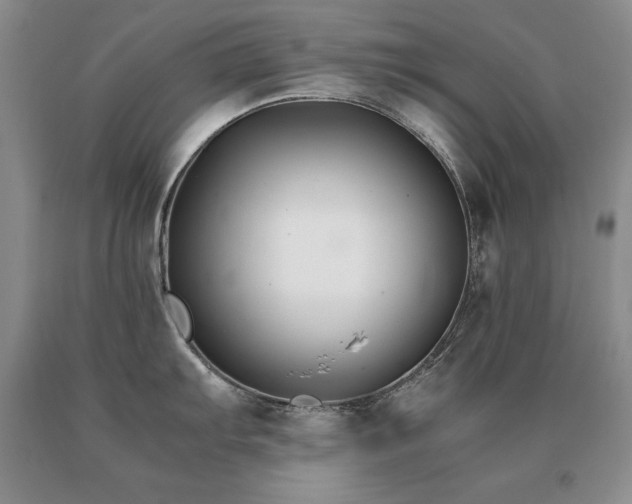 X0000091061103200708061237