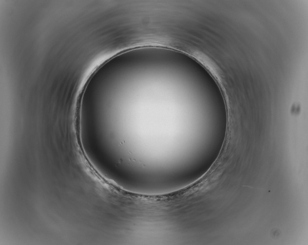 X0000091061104200708061237