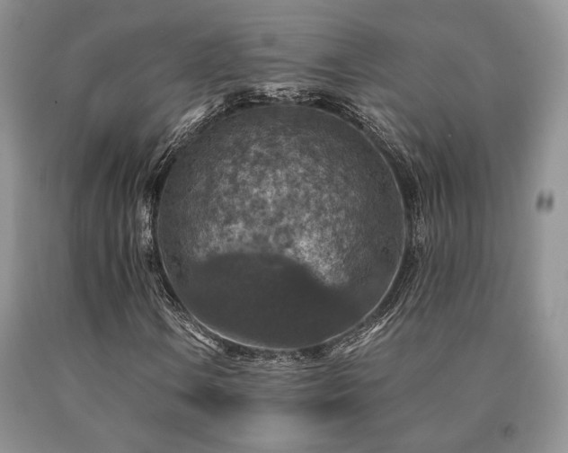 X0000091061106200708061236