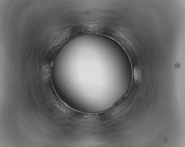 X0000091061107200708061236