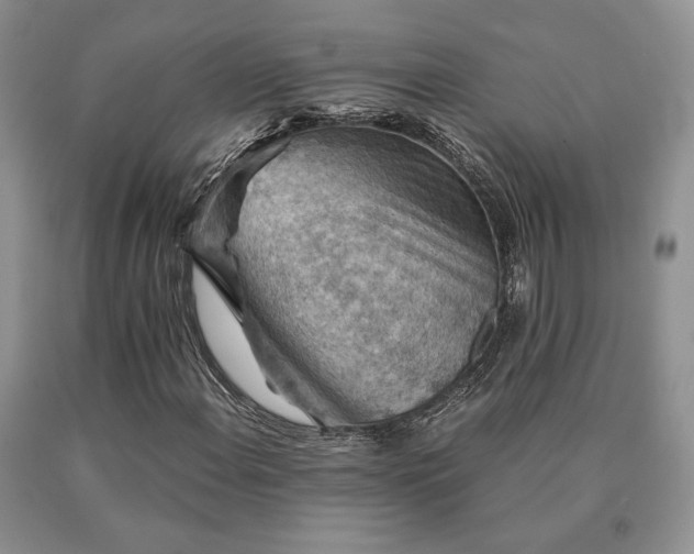 X0000091061108200708061236