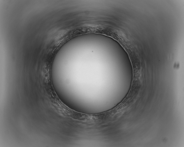 X0000091061109200708061236