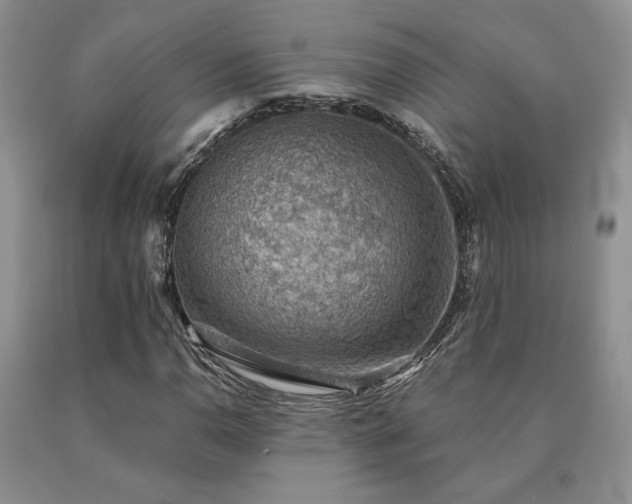 X0000091061110200708061236