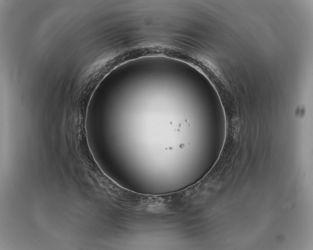 X0000091061111200708061236