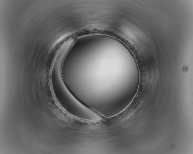 X0000091061112200708061236