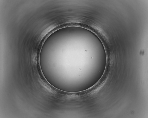 X0000091061113200708061236
