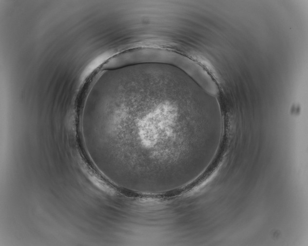 X0000091061114200708061236