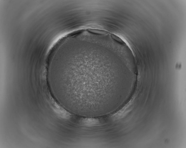 X0000091061115200708061236