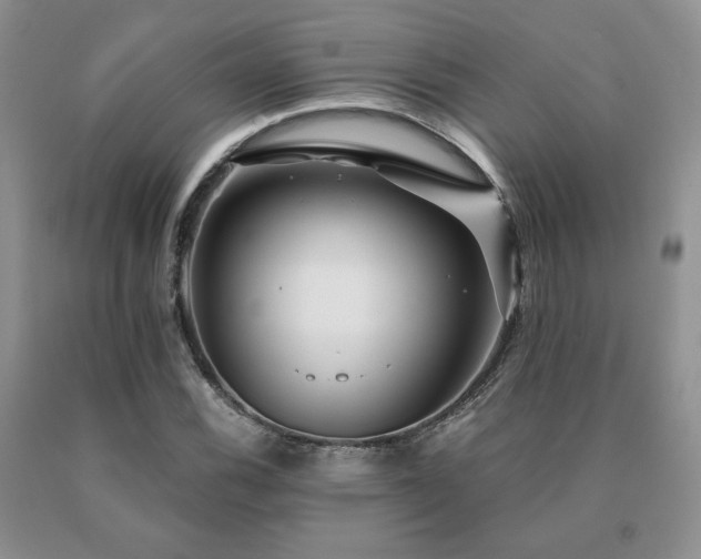 X0000091061116200708061236