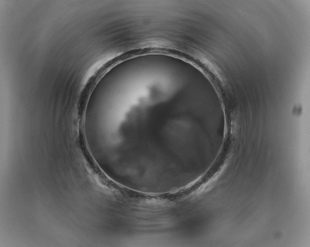 X0000091061117200708061236