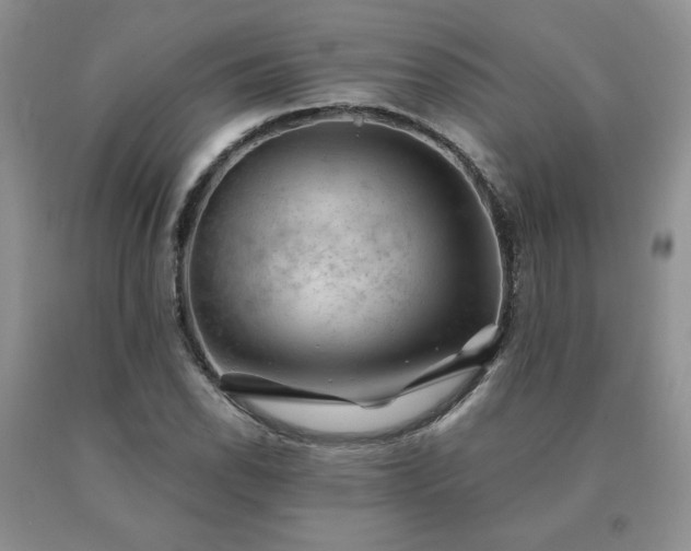 X0000091061118200708061236