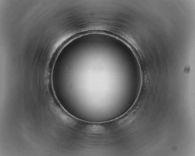 X0000091061119200708061236