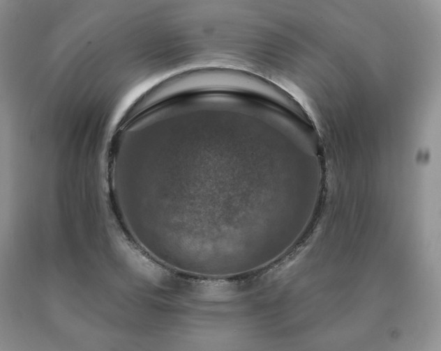 X0000091061120200708061236